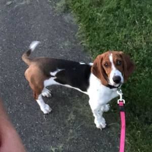 Meet your Posher, Kimmie